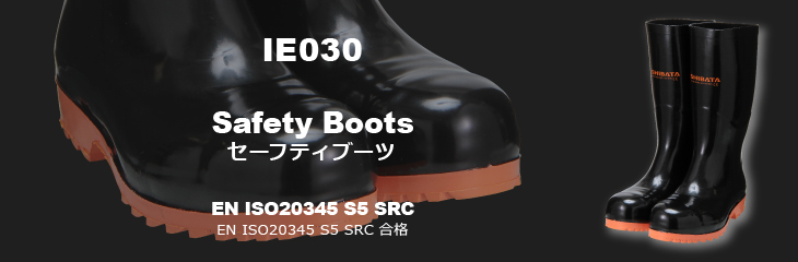 SB3004