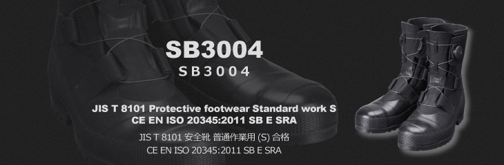 SB3004